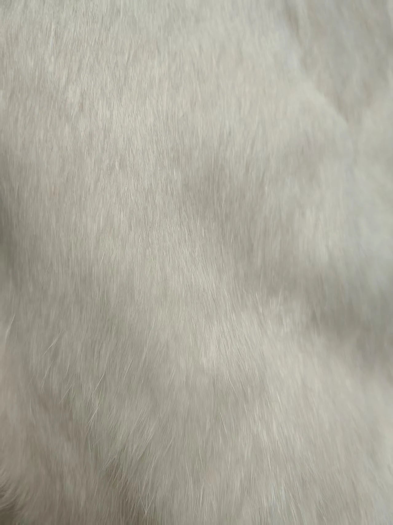 Real Rex Rabbit Fur Coat f