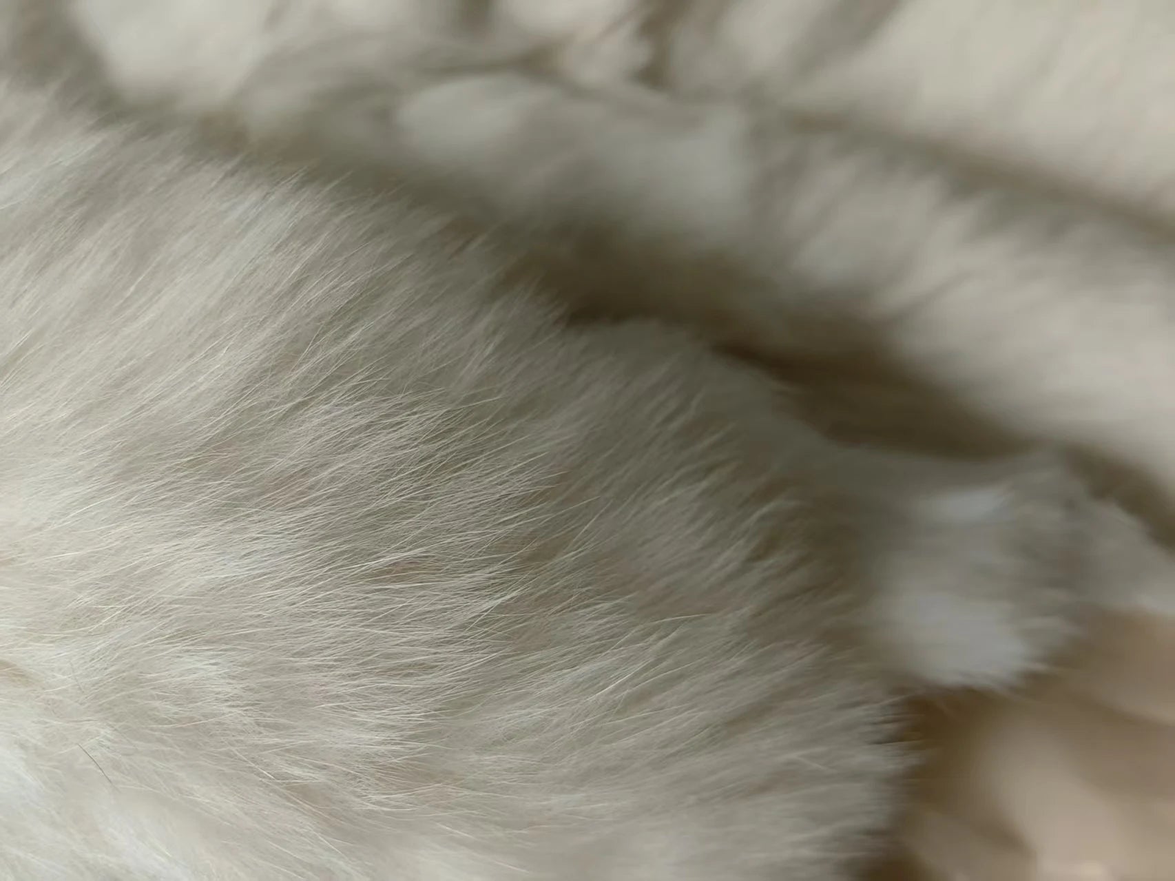 Real Rex Rabbit Fur Coat f