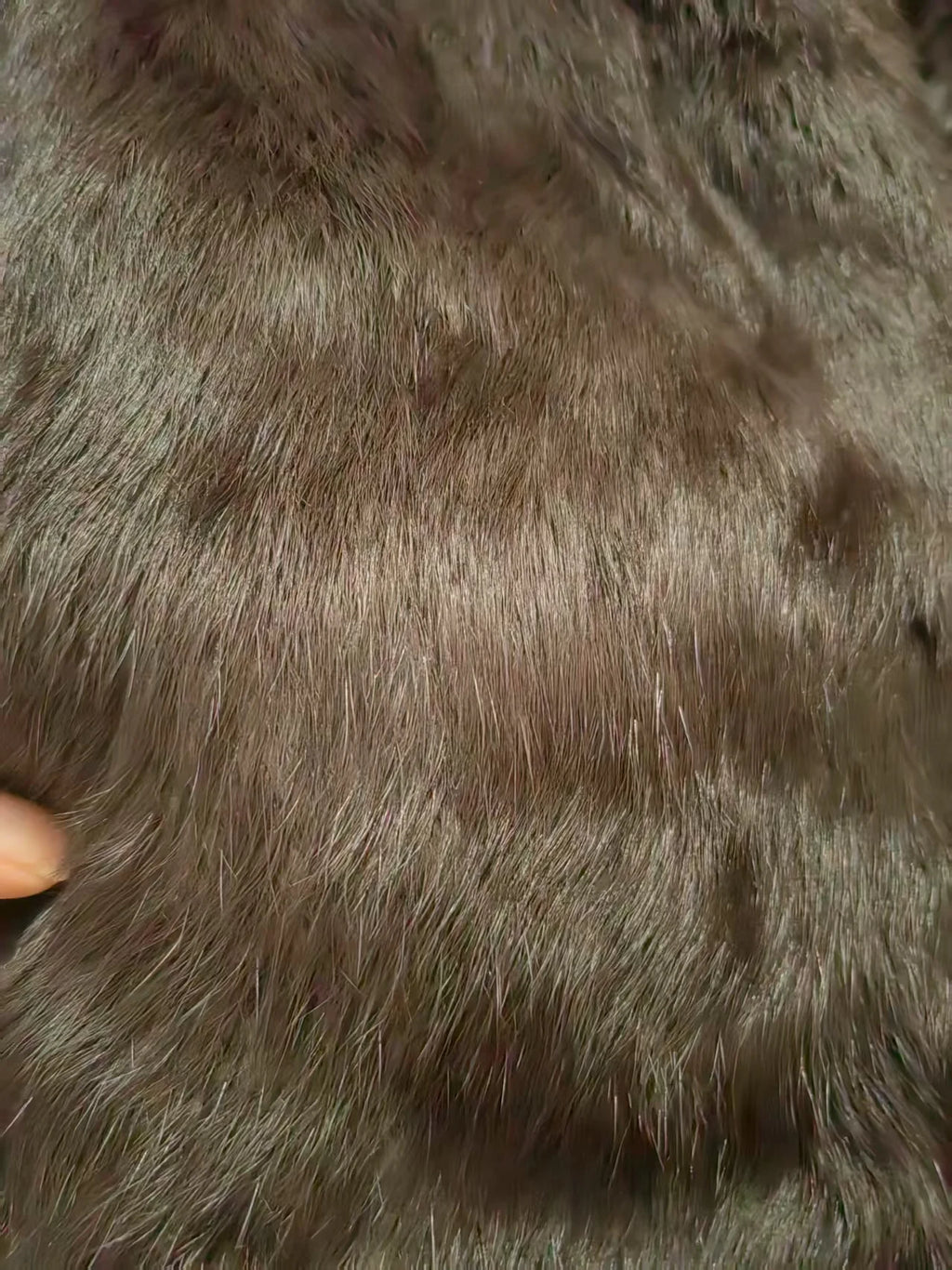 Real Rex Rabbit Fur Coat f