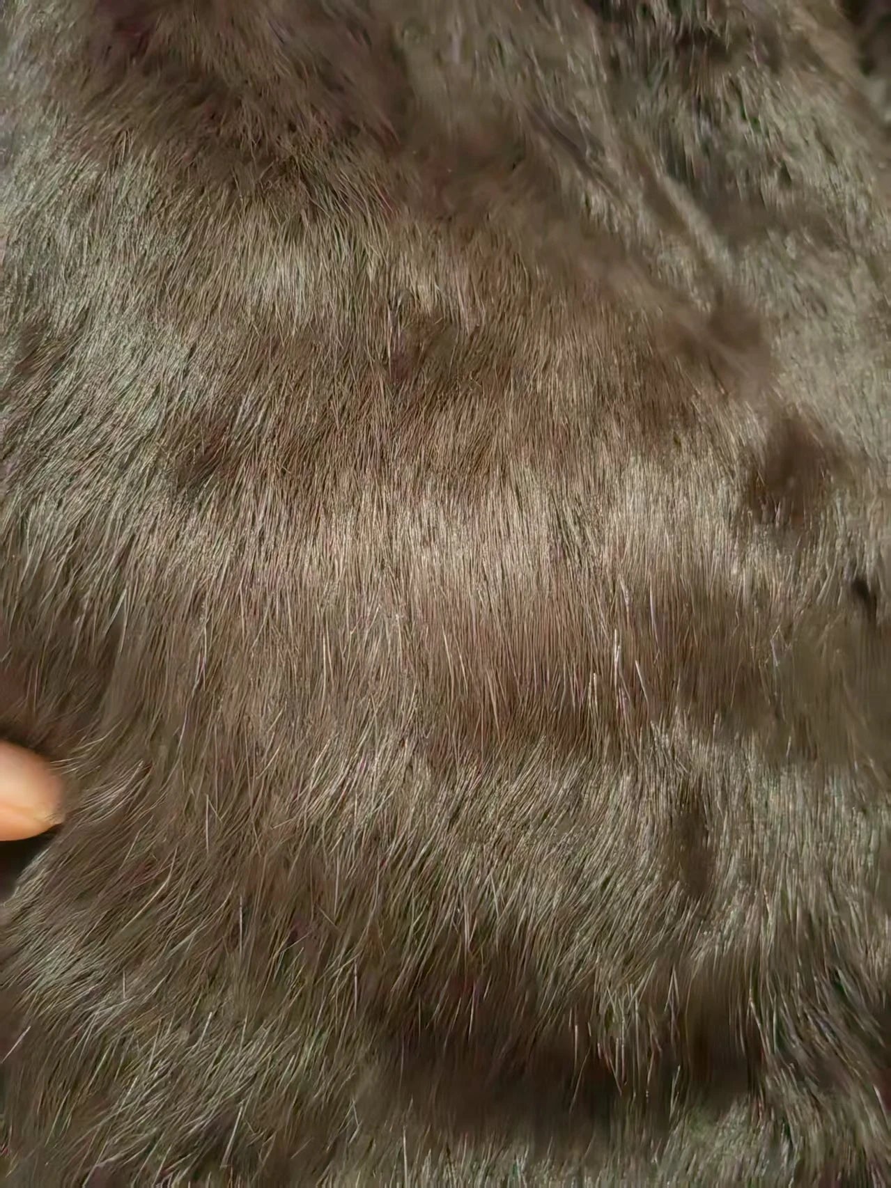 Real Rex Rabbit Fur Coat f